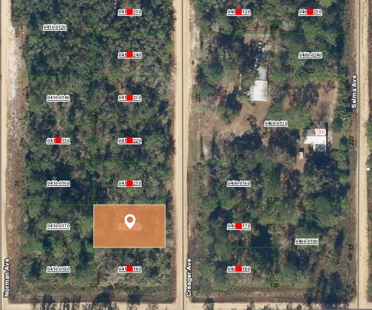 1 Creager Interlachen, FL 32148 - Photo 2 of 3 Aerial