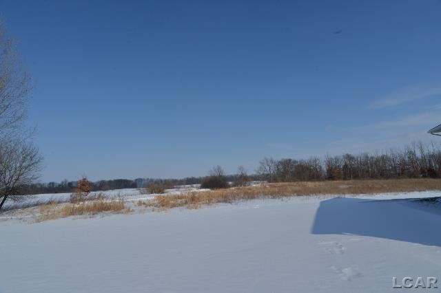 13175 Clinton Road Clinton, MI 49236 - Photo 61 of 66 31230843-60.JPG
