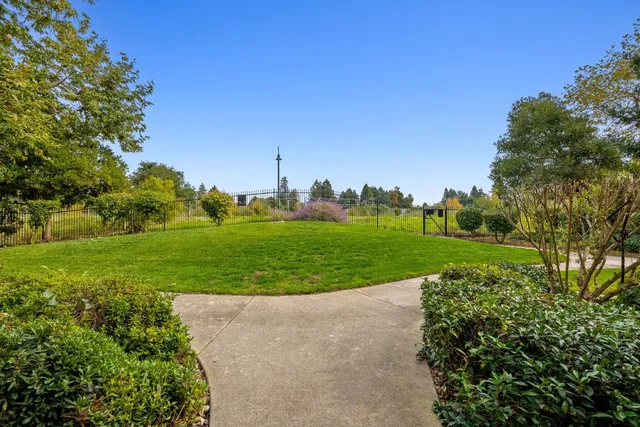 a view of a house with a yard and potted plants