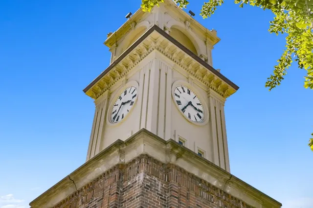 a view of a pathway with a tree