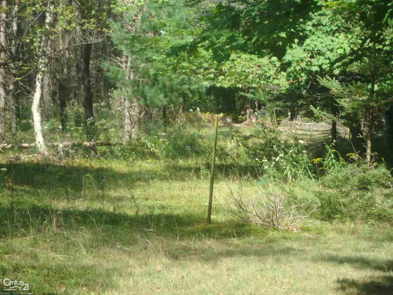 1390 West Youngs Road Gladwin, MI 48624 - Photo 53 of 75