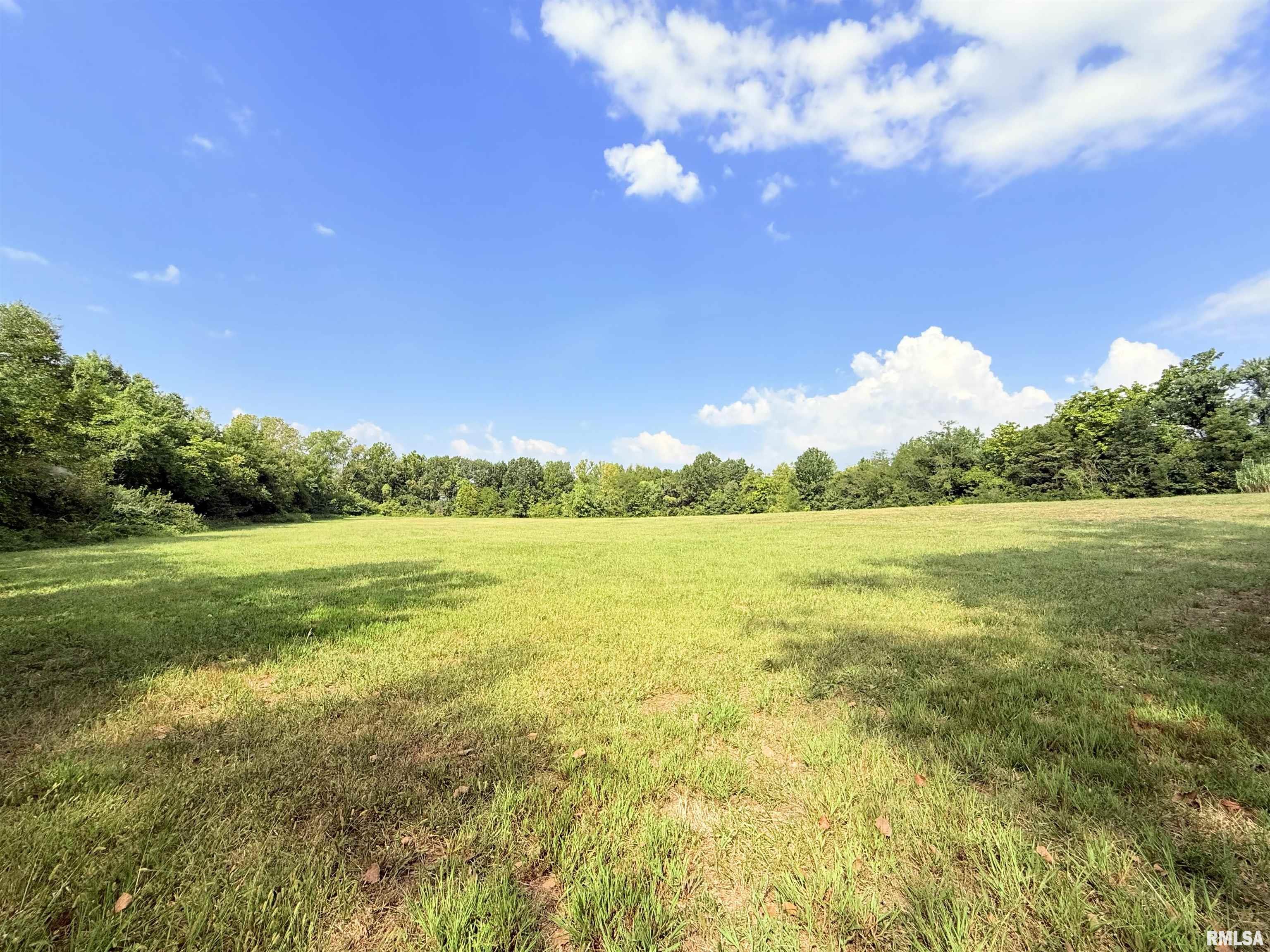 0 West Davis Street Equality, IL 62934 - Photo 11 of 14