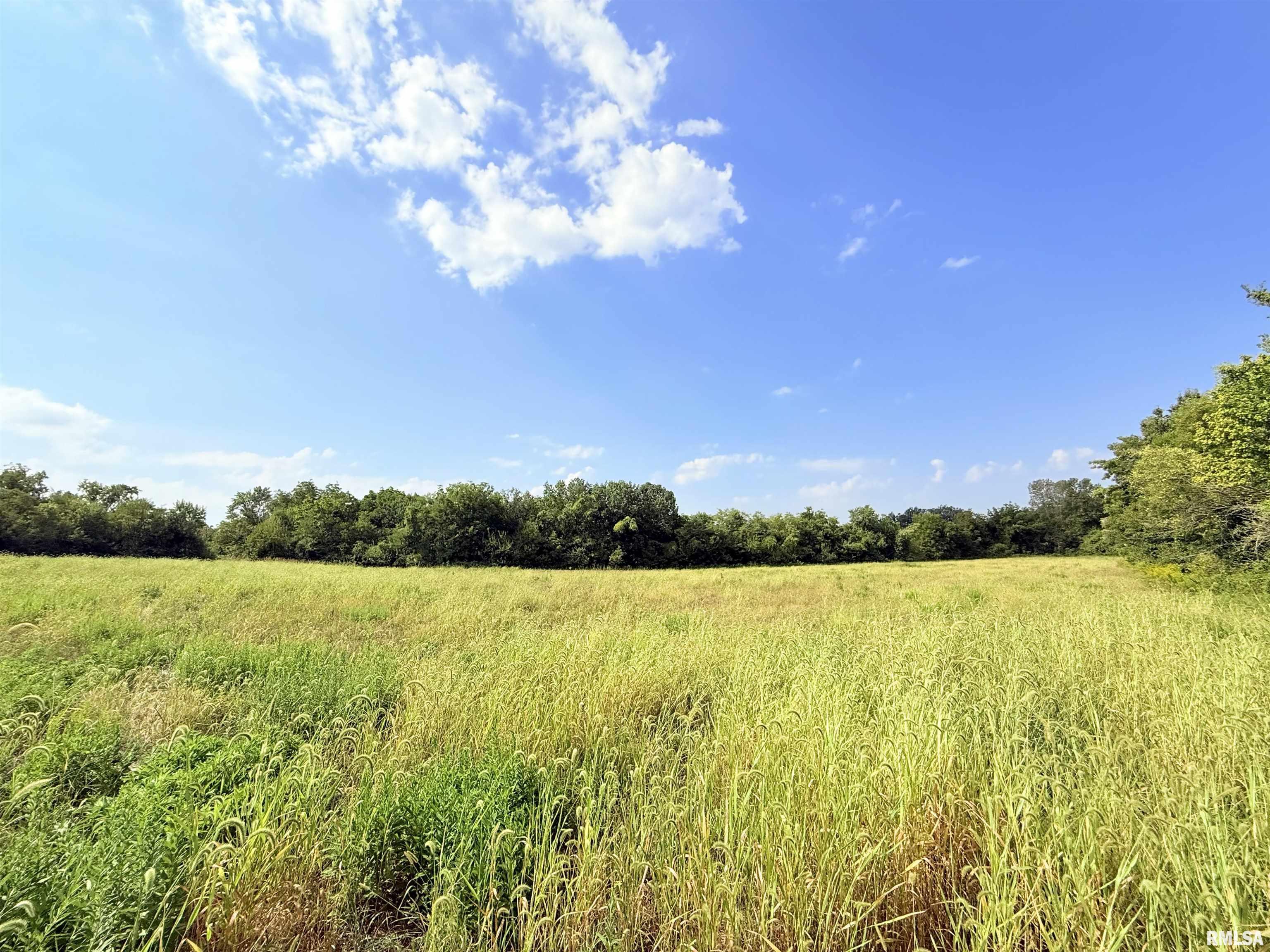 0 West Davis Street Equality, IL 62934 - Photo 14 of 14