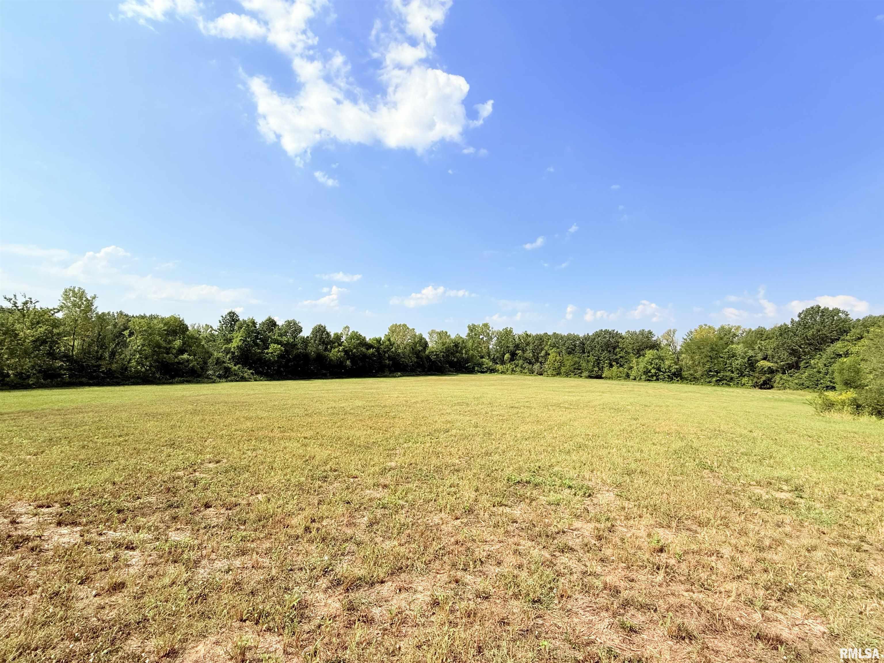 0 West Davis Street Equality, IL 62934 - Photo 10 of 14