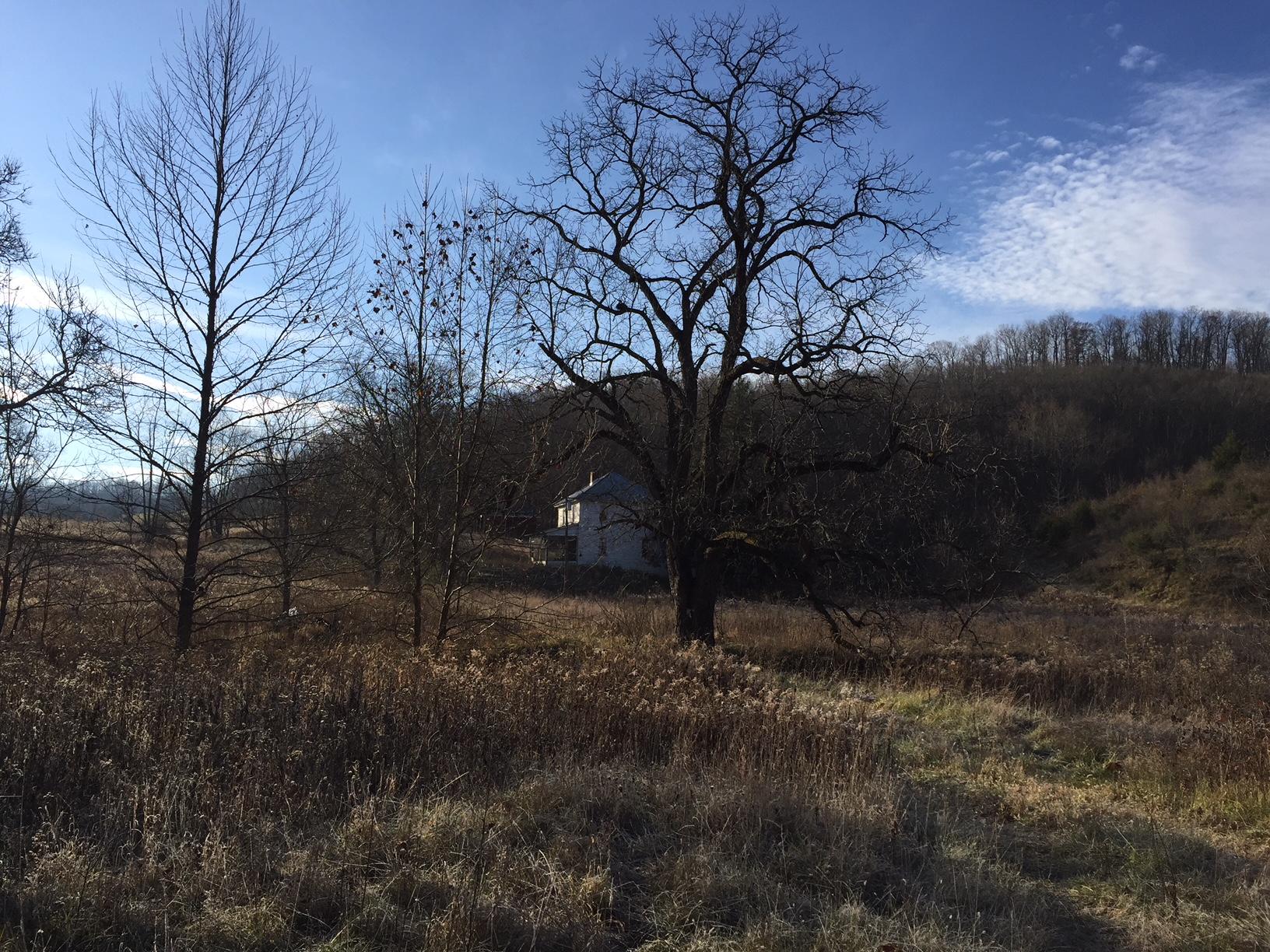 3 Wolf Creek Road Wayside, WV 24985 - Photo 8 of 13 Gallery Image 8