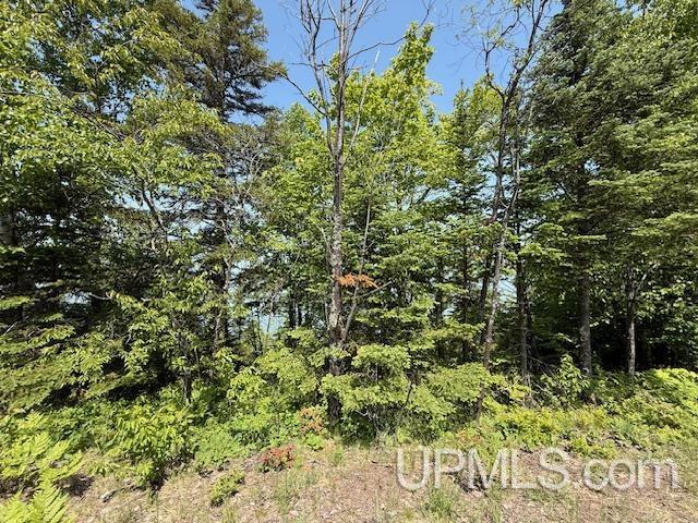 Five 5 Mile Pt Road, Unit LOT 15 OF KIDDER & ROCK S Allouez, MI 49805 - Photo 12 of 46
