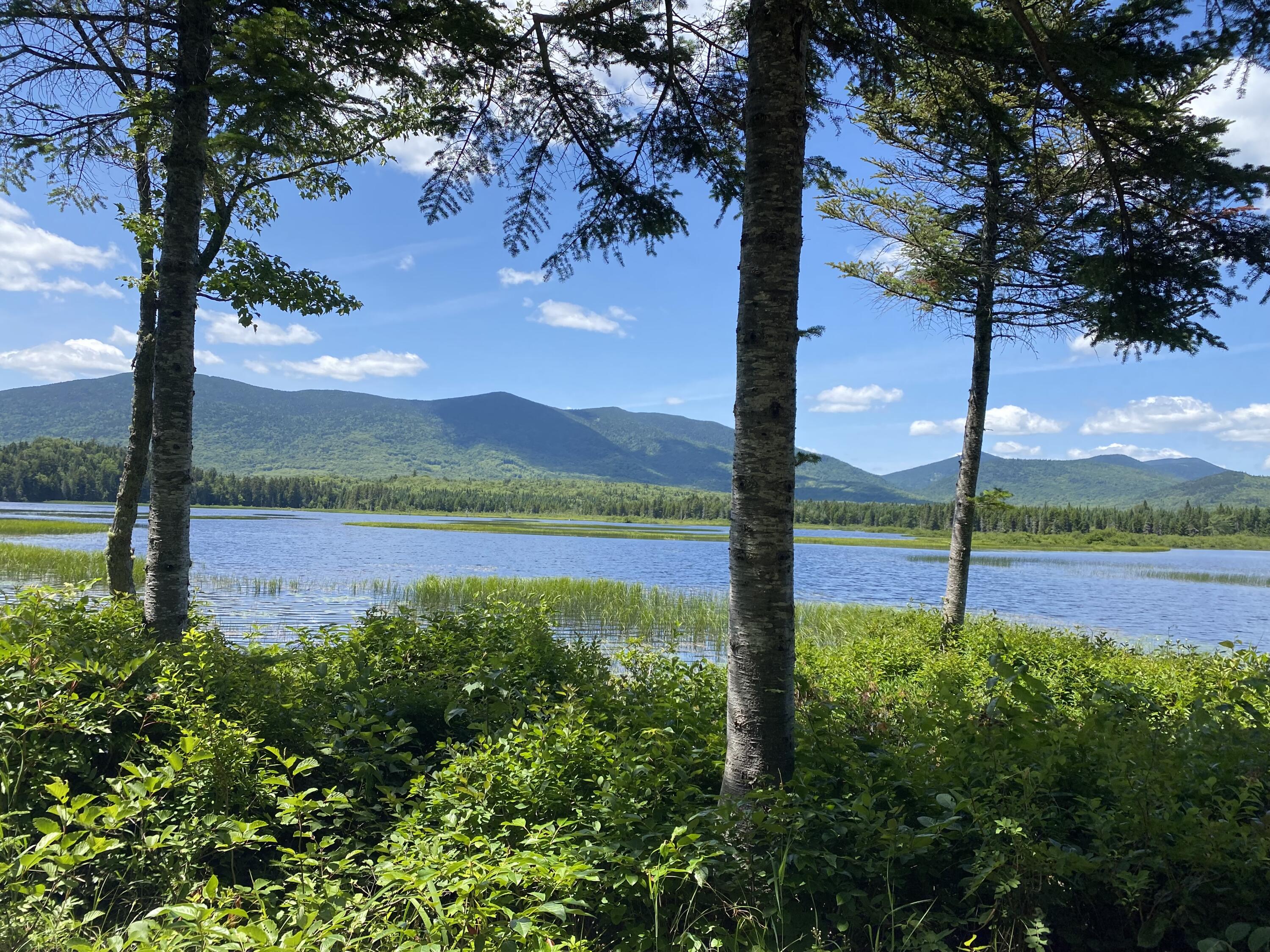 1858 Kennebago River Road Rangeley, ME 04970 - Photo 2 of 28 IMG_5353