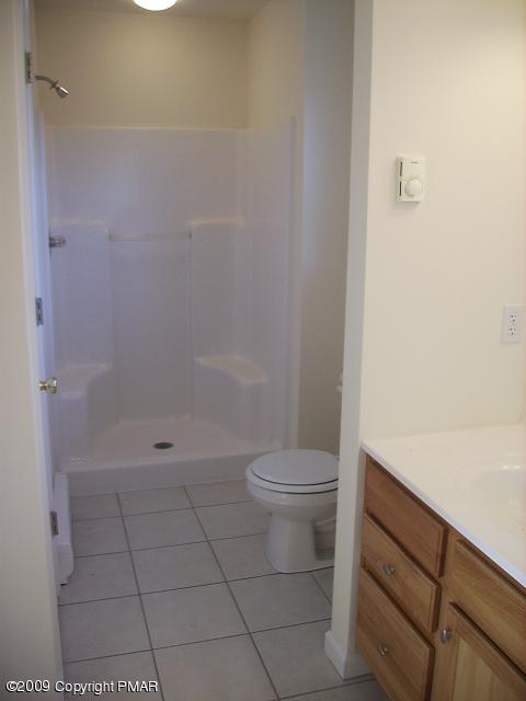 1209 Reynolds Road Albrightsville, PA 18210 - Photo 16 of 20 Master Bedroom Shower