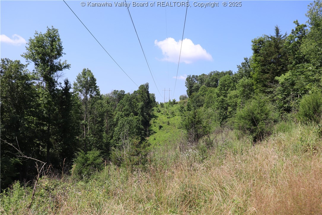 3 Walker Ridge Road Walton, WV 25286 - Photo 19 of 20 Gallery Image 19