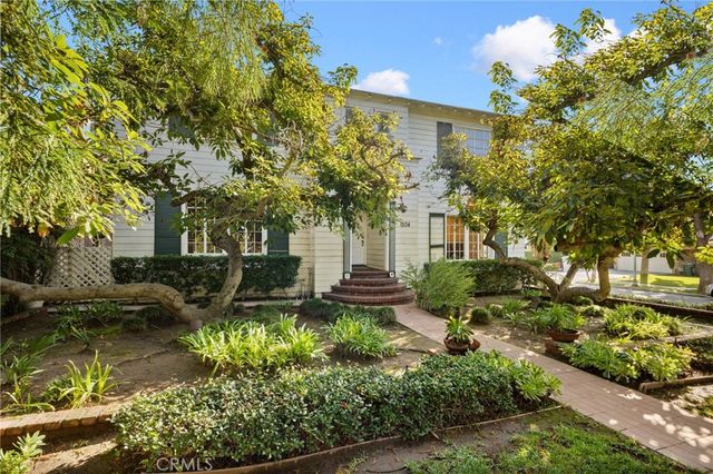 a view of a yard with plants and large trees