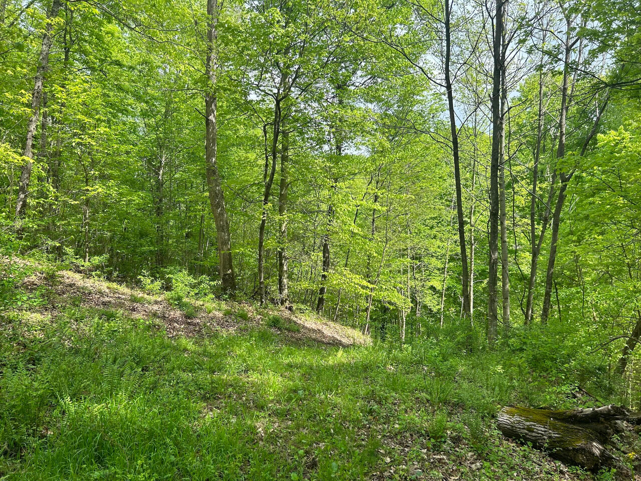 3540 Point Lookout Road Stockport, OH 43787 - Photo 11 of 40 10