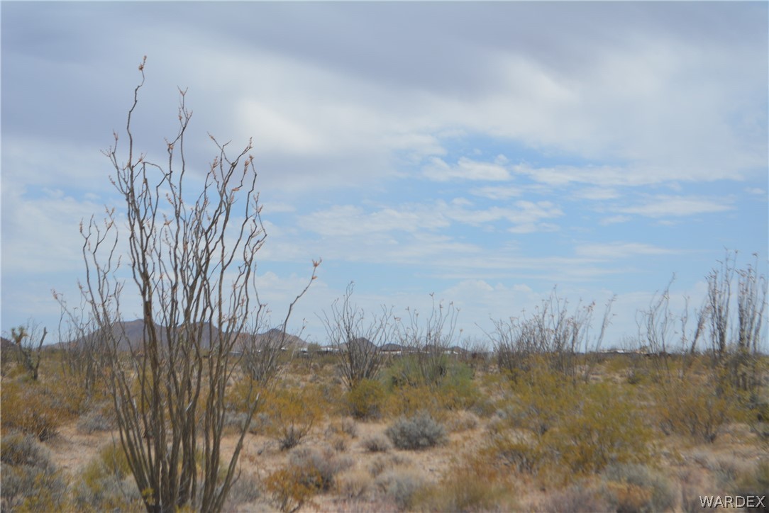 1-2 SOUTH Lot C7 Ruby Road Yucca, AZ 86438 - Photo 5 of 22 a view of a dry yard