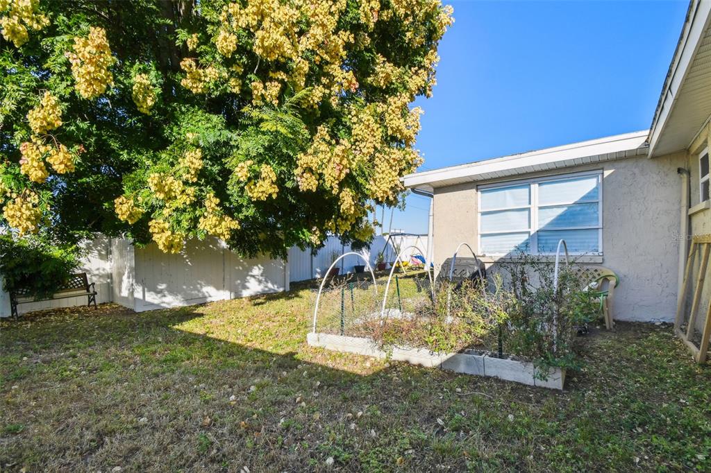 5831 1st Avenue New Port Richey, FL 34652 - Photo 21 of 22 a view of a backyard