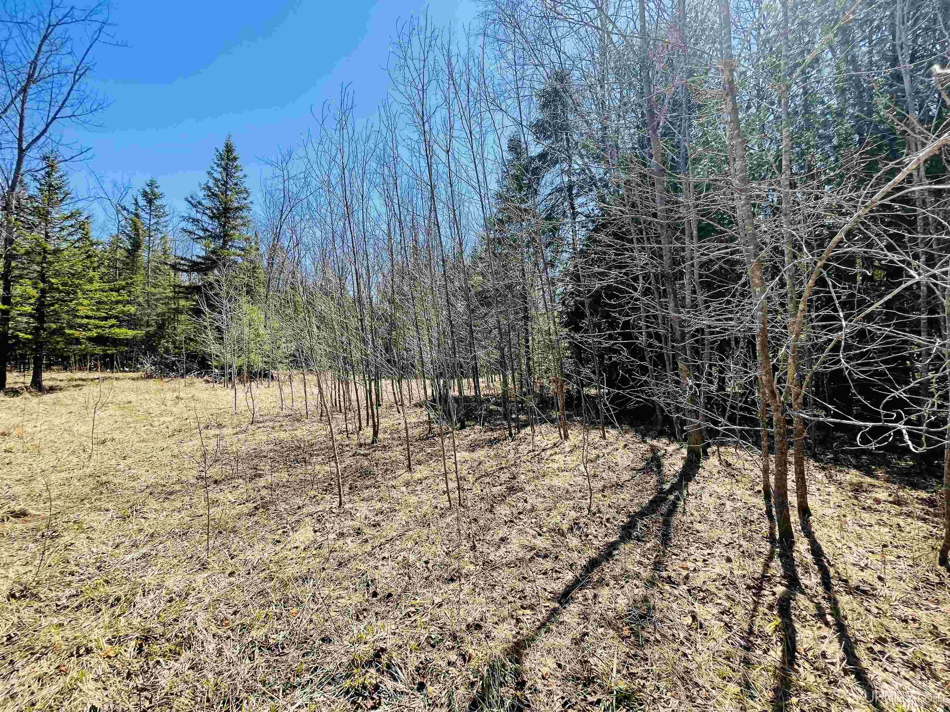 Tbd 11th Road Escanaba, MI 49829 - Photo 14 of 17