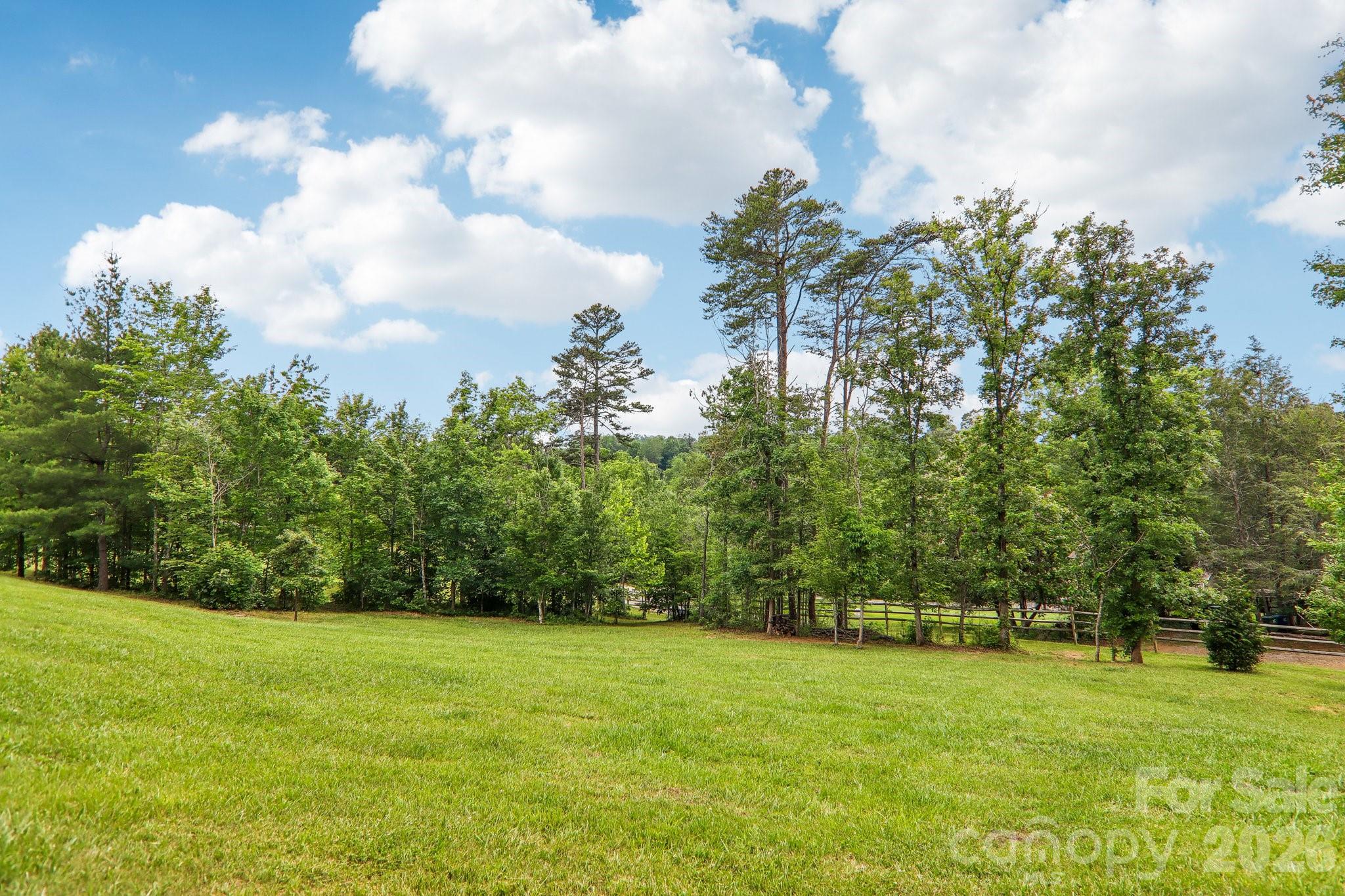 106 Saddle Ridge Drive Alexander, NC 28701 - Photo 39 of 48