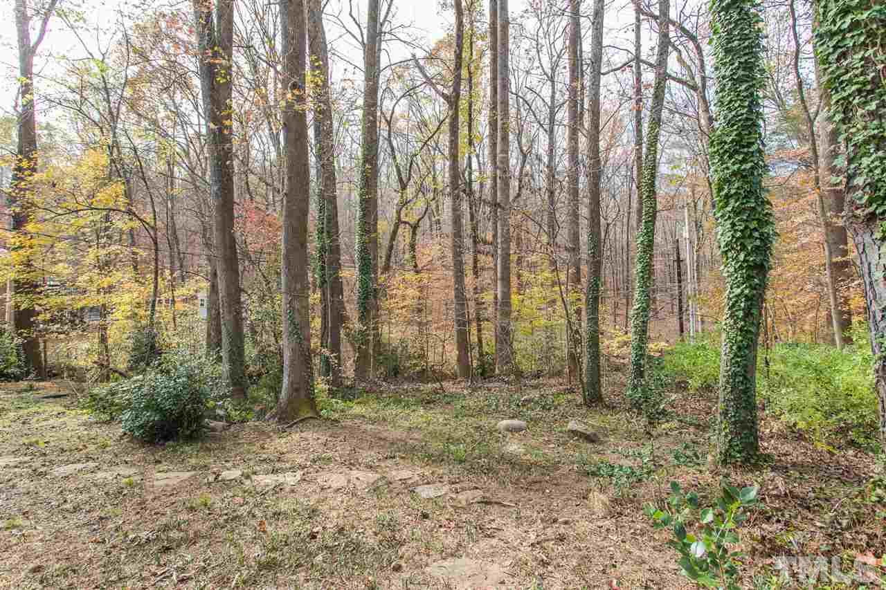 115 Lexington Road Chapel Hill, NC 27516 - Photo 6 of 30 Gallery Image 6