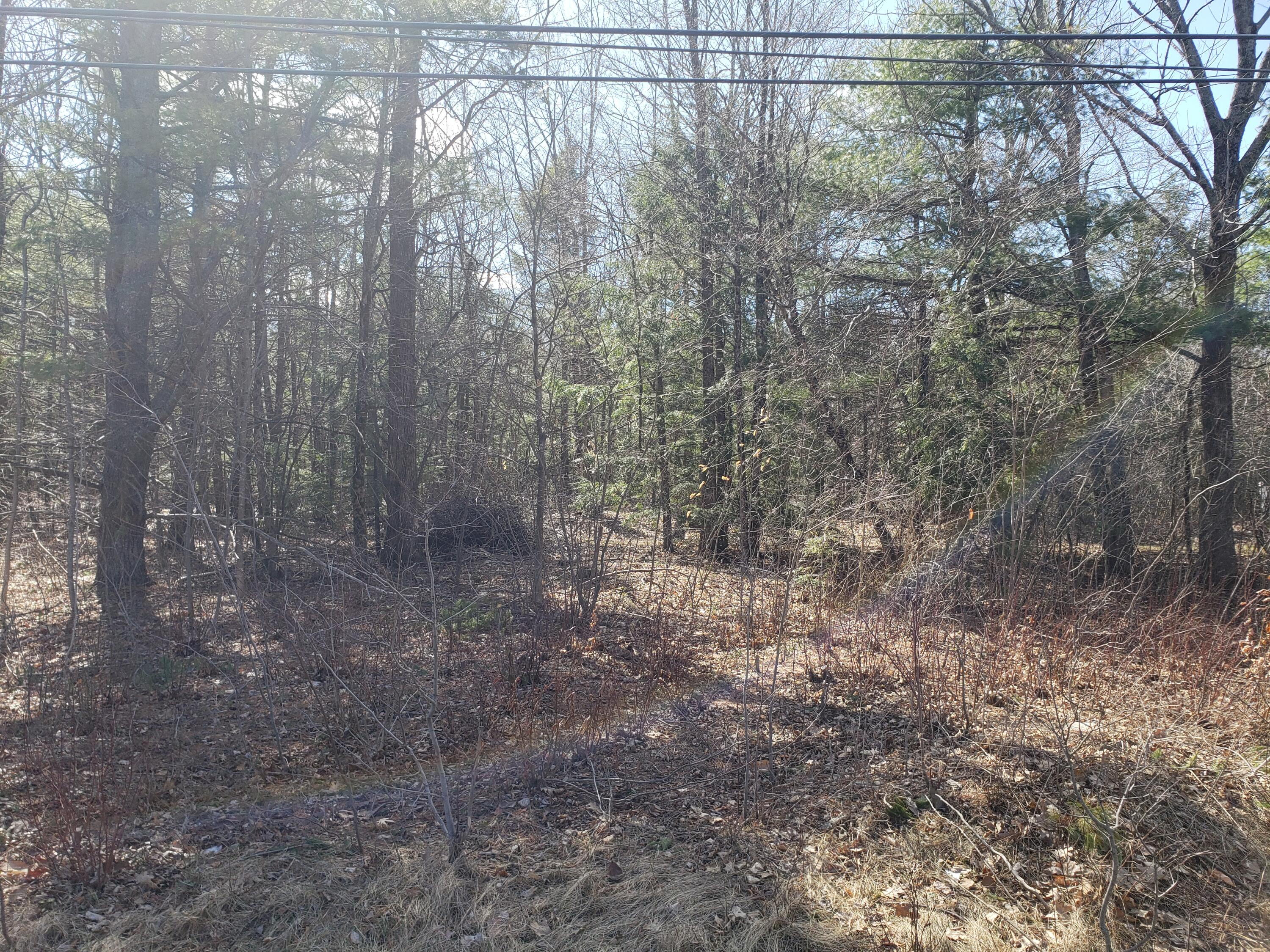 Lot 41-cdef Lot 41-cdef China Road Winslow, ME 04901 - Photo 4 of 17 41-C 3