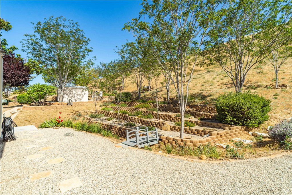 9251 Elizabeth Lake Road Leona Valley, CA 93551 - Photo 39 of 53 a view of a yard with wooden fence