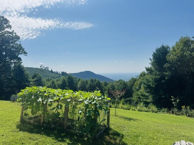 86 Sugar Loaf Road Fancy Gap, VA 24328 - Photo 24 of 65 Gallery Image 24