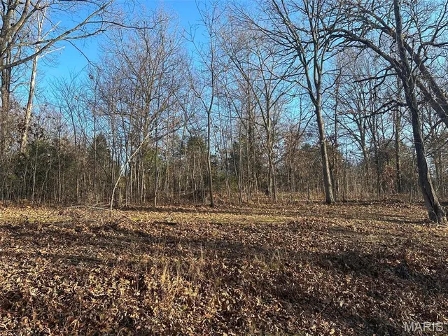 $45,000 | 22 Wagon Creek Loop, Creal Springs, IL 62922