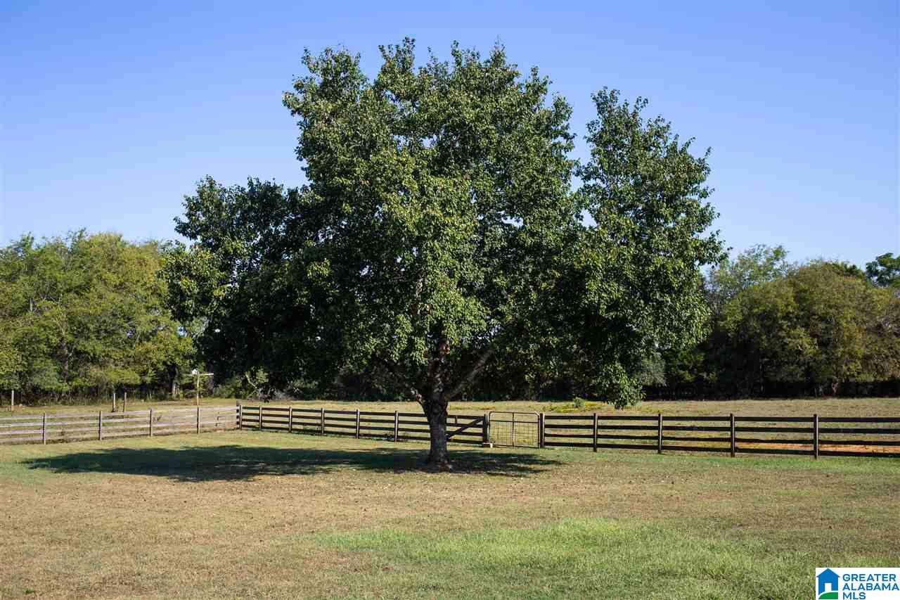 5955 Spring Creek Road Montevallo, AL 35115 - Photo 48 of 50