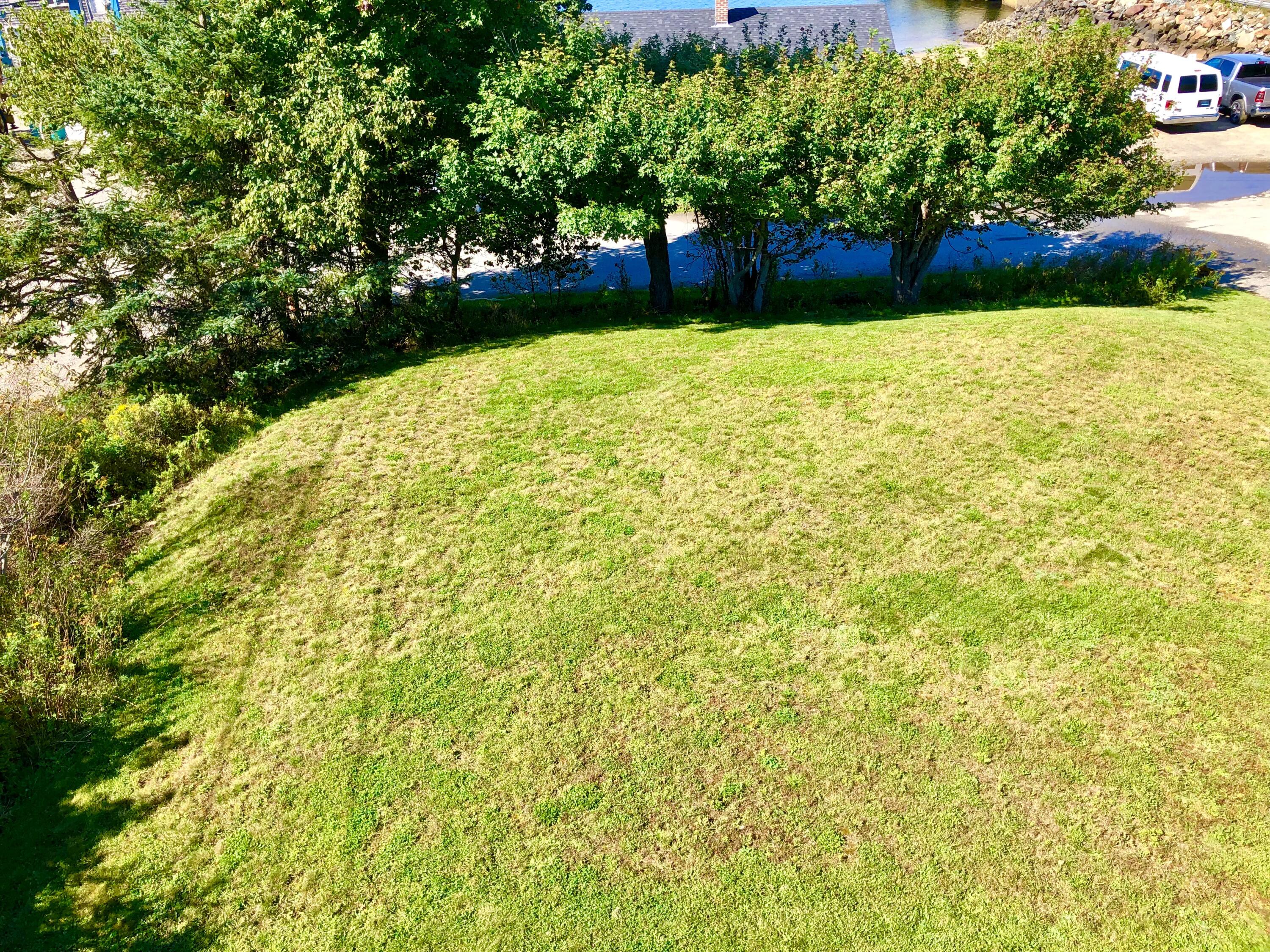 48 Granville Road Bass Harbor, ME 04653 - Photo 34 of 60 Front yard area