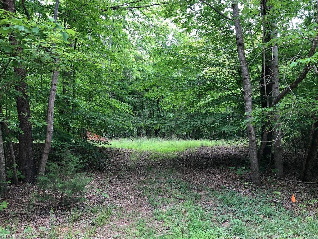 539 Jarvis Plantation Road Dobson, NC 27017 - Photo 1 of 36 Driveway main entrance