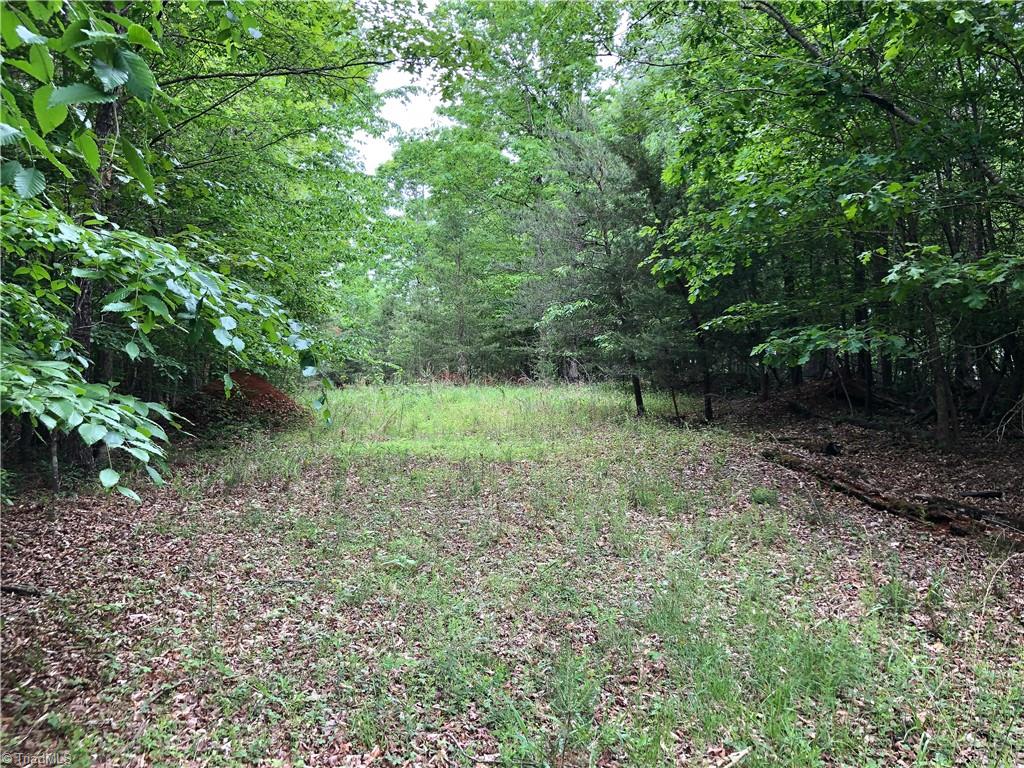 539 Jarvis Plantation Road Dobson, NC 27017 - Photo 2 of 36 Gallery Image 2