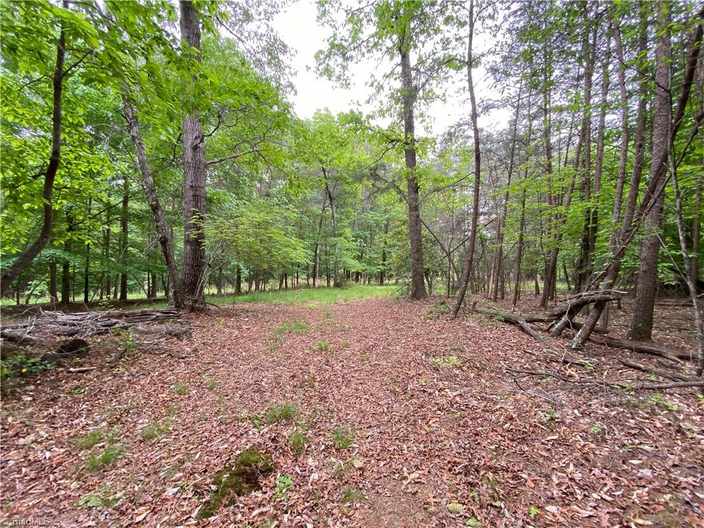 539 Jarvis Plantation Road Dobson, NC 27017 - Photo 11 of 36 Gallery Image 11