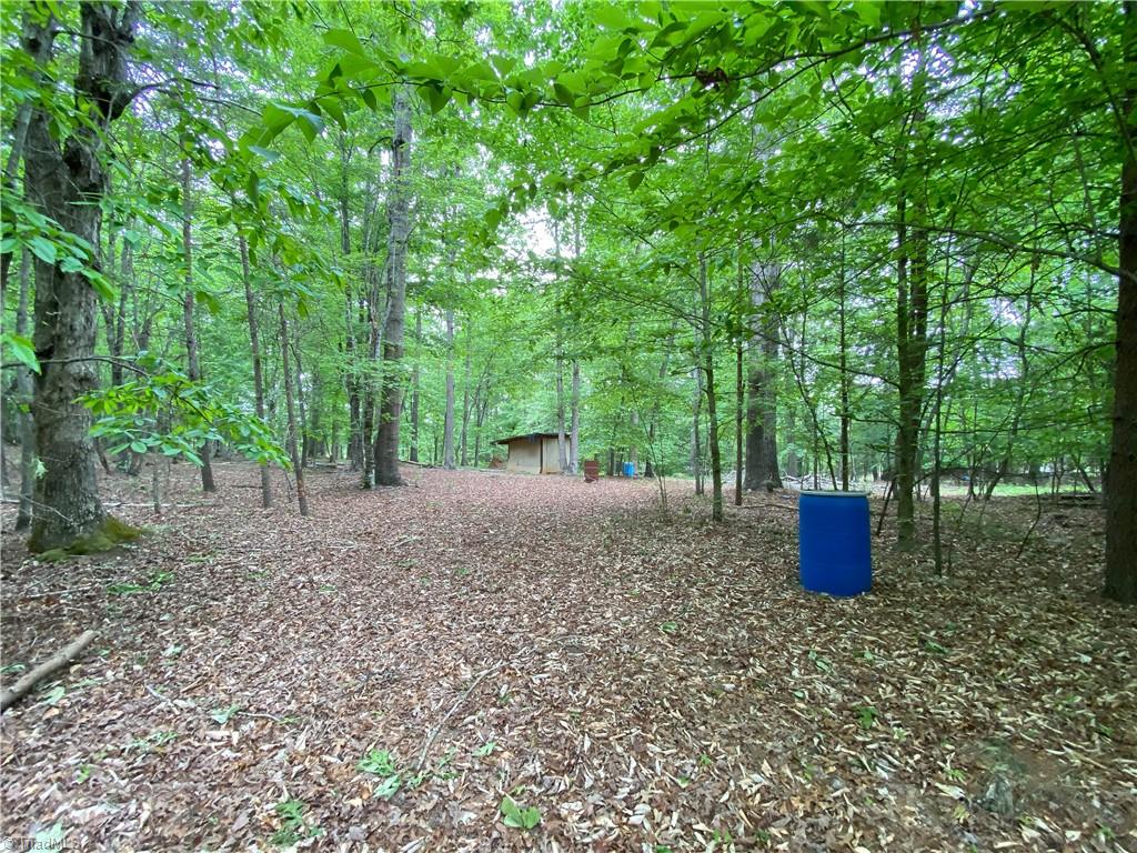 539 Jarvis Plantation Road Dobson, NC 27017 - Photo 12 of 36 Gallery Image 12
