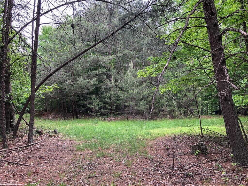 539 Jarvis Plantation Road Dobson, NC 27017 - Photo 13 of 36 Gallery Image 13