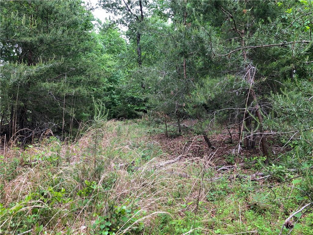 539 Jarvis Plantation Road Dobson, NC 27017 - Photo 14 of 36 Gallery Image 14