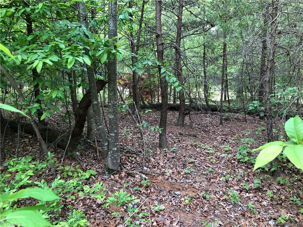 539 Jarvis Plantation Road Dobson, NC 27017 - Photo 15 of 36 Gallery Image 15