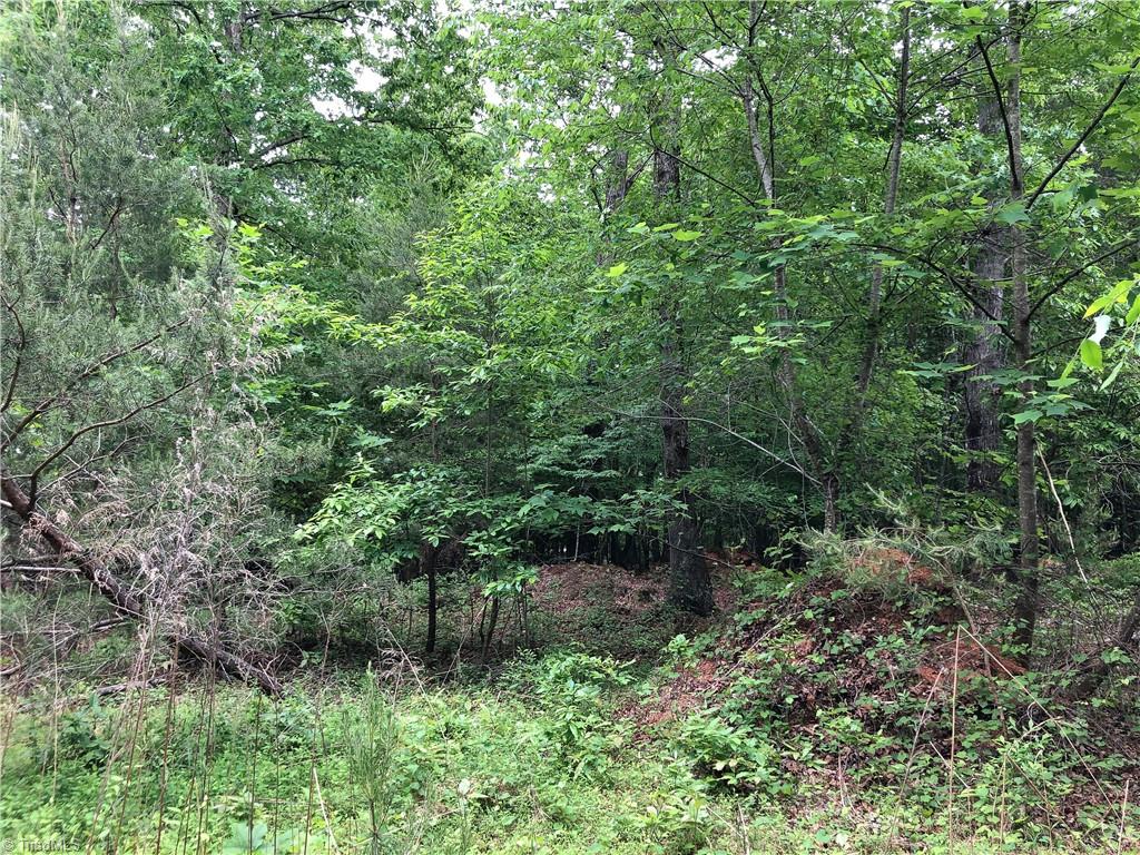 539 Jarvis Plantation Road Dobson, NC 27017 - Photo 16 of 36 Gallery Image 16