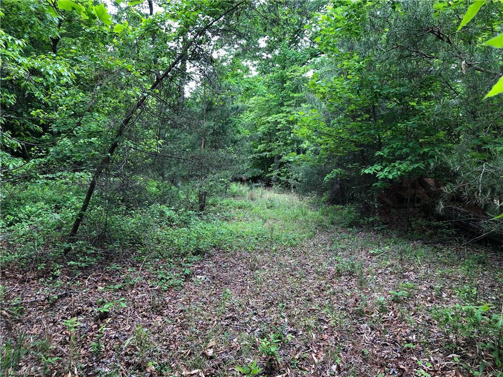 539 Jarvis Plantation Road Dobson, NC 27017 - Photo 17 of 36 Gallery Image 17