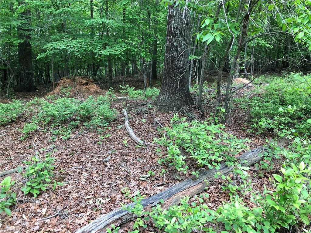 539 Jarvis Plantation Road Dobson, NC 27017 - Photo 18 of 36 Gallery Image 18