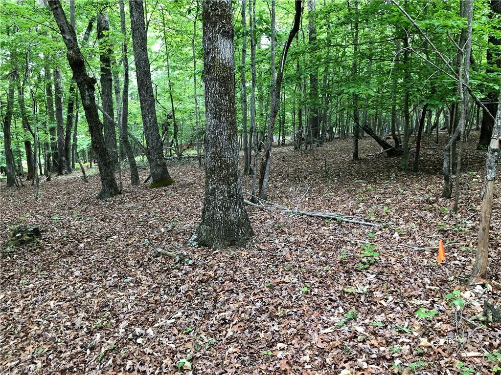 539 Jarvis Plantation Road Dobson, NC 27017 - Photo 20 of 36 Gallery Image 20