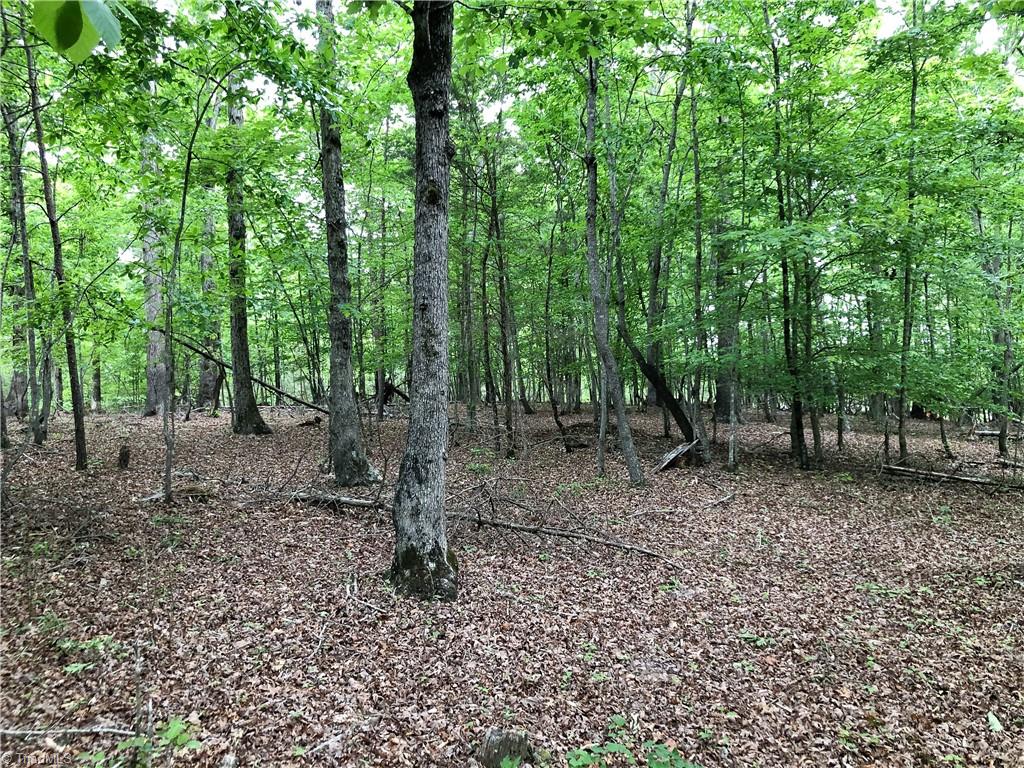 539 Jarvis Plantation Road Dobson, NC 27017 - Photo 23 of 36 Gallery Image 23