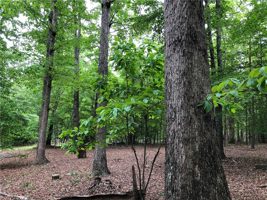 539 Jarvis Plantation Road Dobson, NC 27017 - Photo 25 of 36 Gallery Image 25