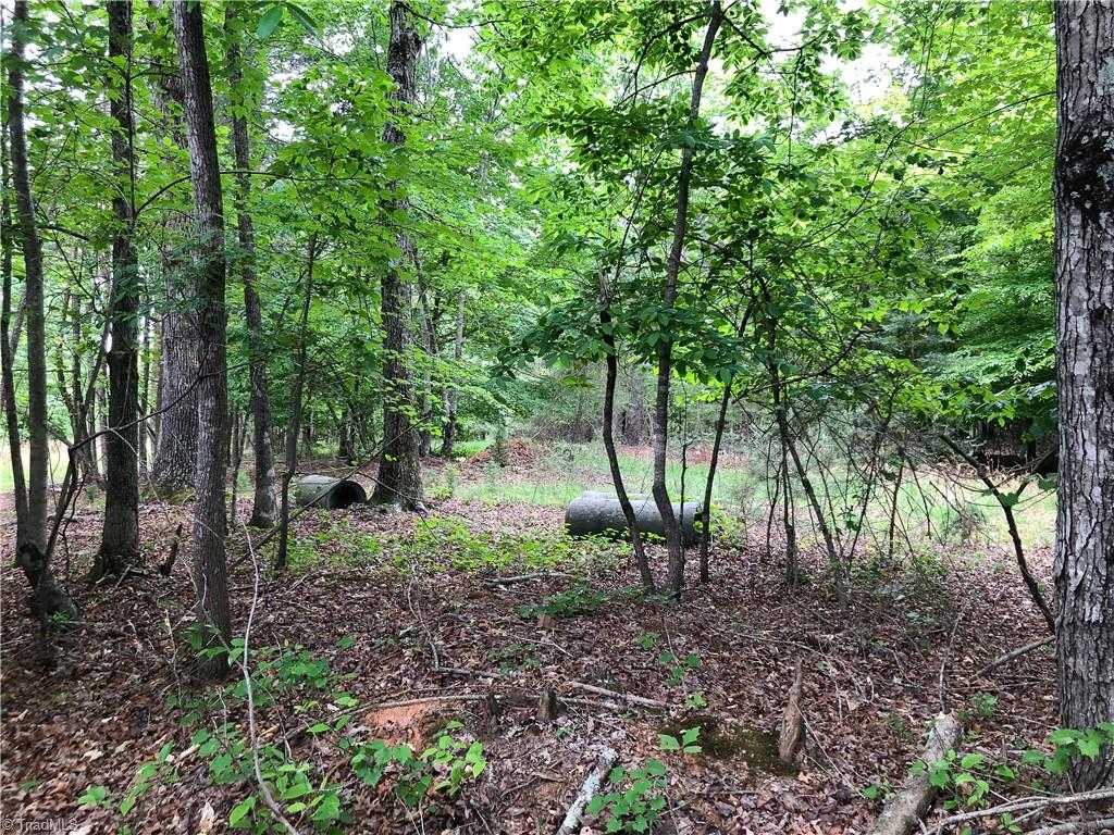 539 Jarvis Plantation Road Dobson, NC 27017 - Photo 28 of 36 Gallery Image 28