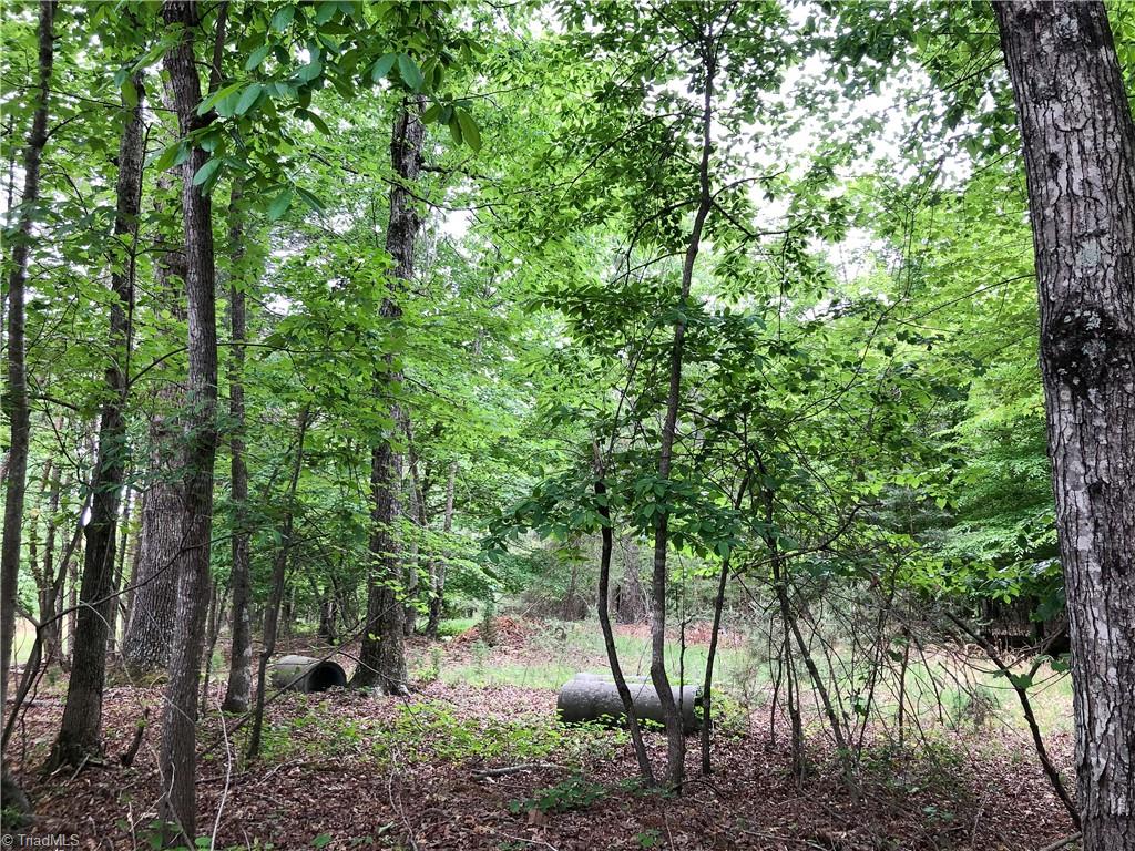 539 Jarvis Plantation Road Dobson, NC 27017 - Photo 29 of 36 Gallery Image 29