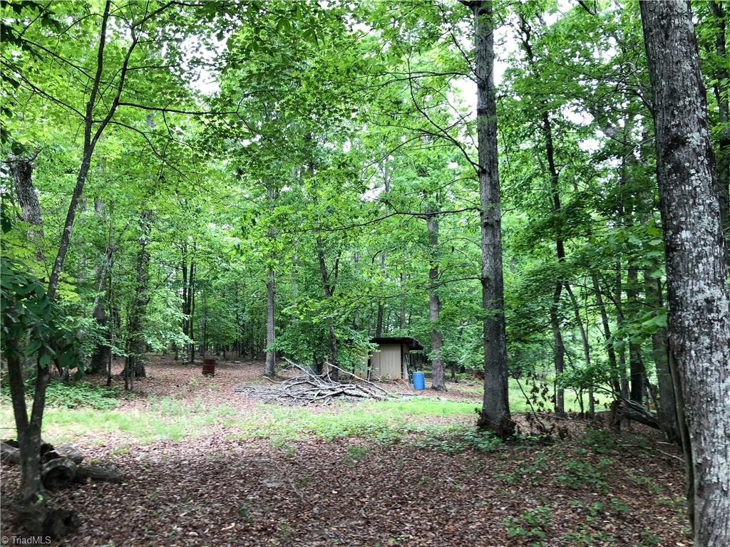 539 Jarvis Plantation Road Dobson, NC 27017 - Photo 30 of 36 Gallery Image 30