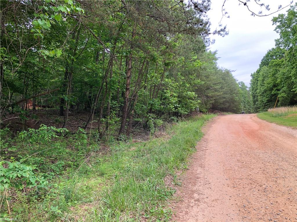 539 Jarvis Plantation Road Dobson, NC 27017 - Photo 4 of 36 Gallery Image 4