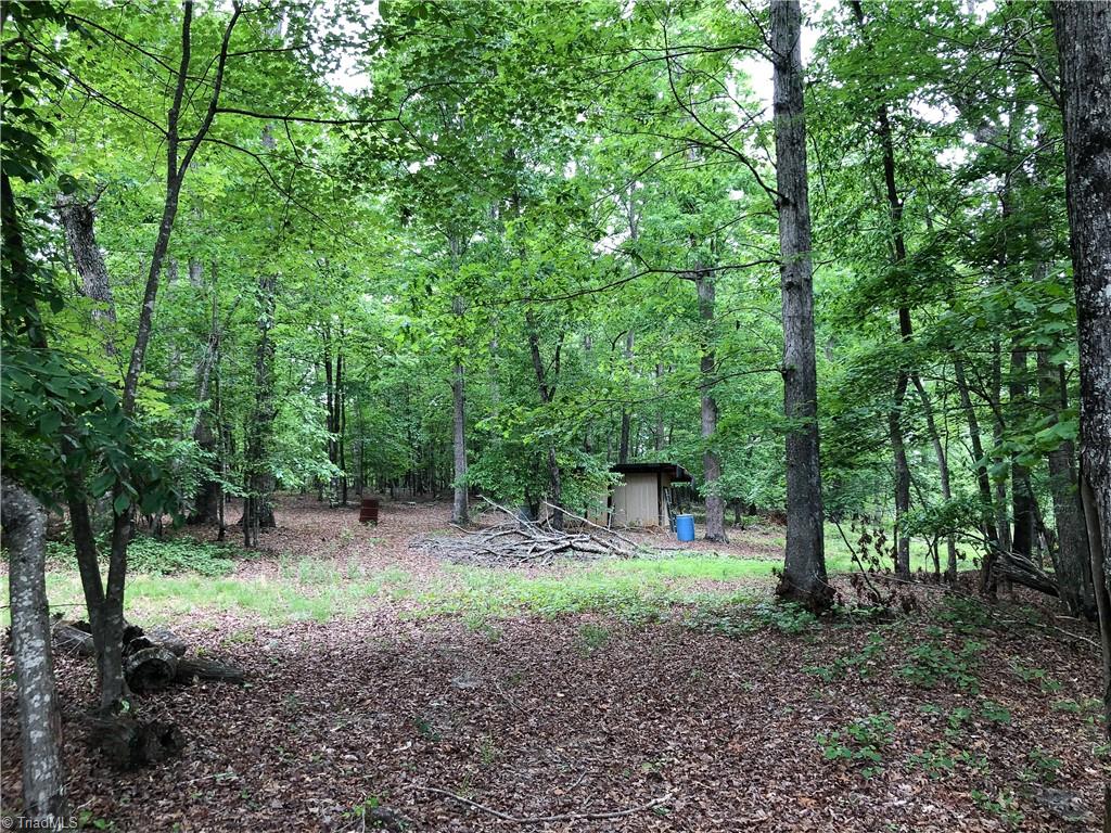 539 Jarvis Plantation Road Dobson, NC 27017 - Photo 31 of 36 Gallery Image 31
