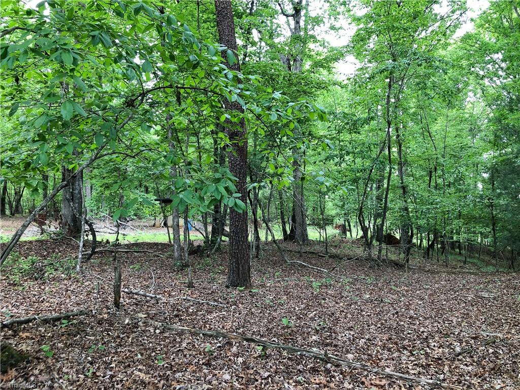 539 Jarvis Plantation Road Dobson, NC 27017 - Photo 32 of 36 Gallery Image 32