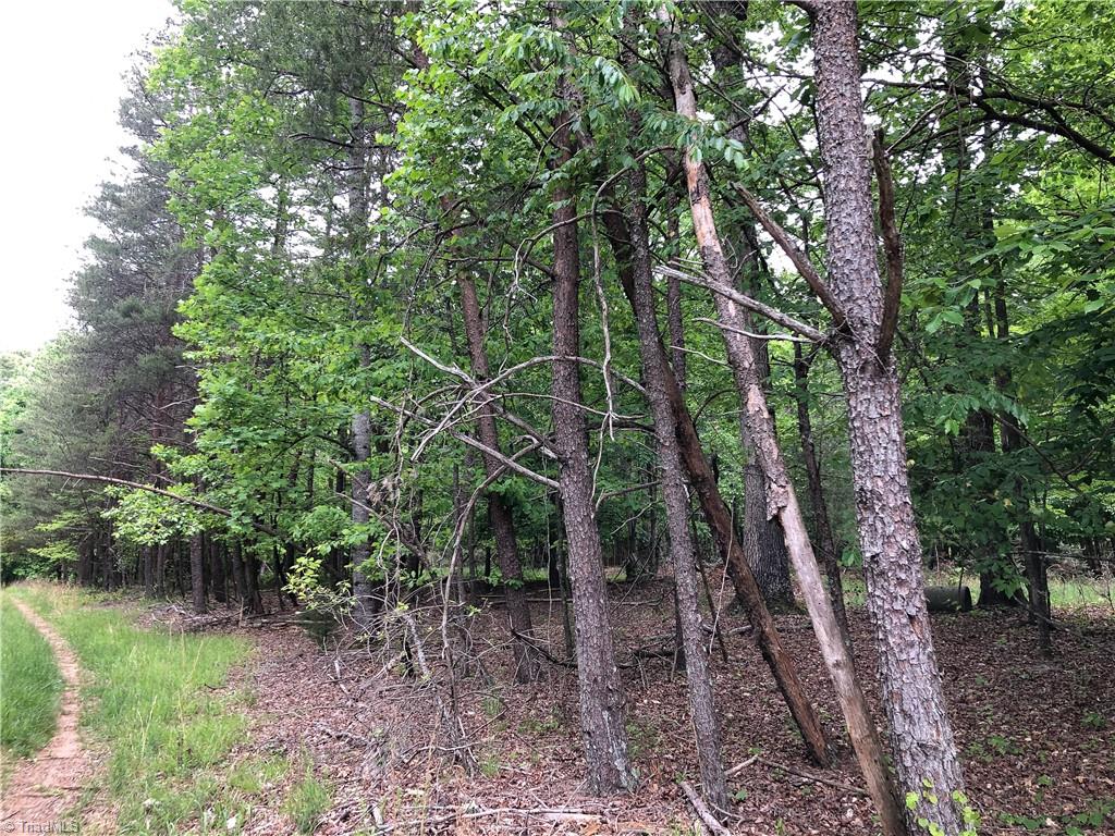 539 Jarvis Plantation Road Dobson, NC 27017 - Photo 33 of 36 Gallery Image 33