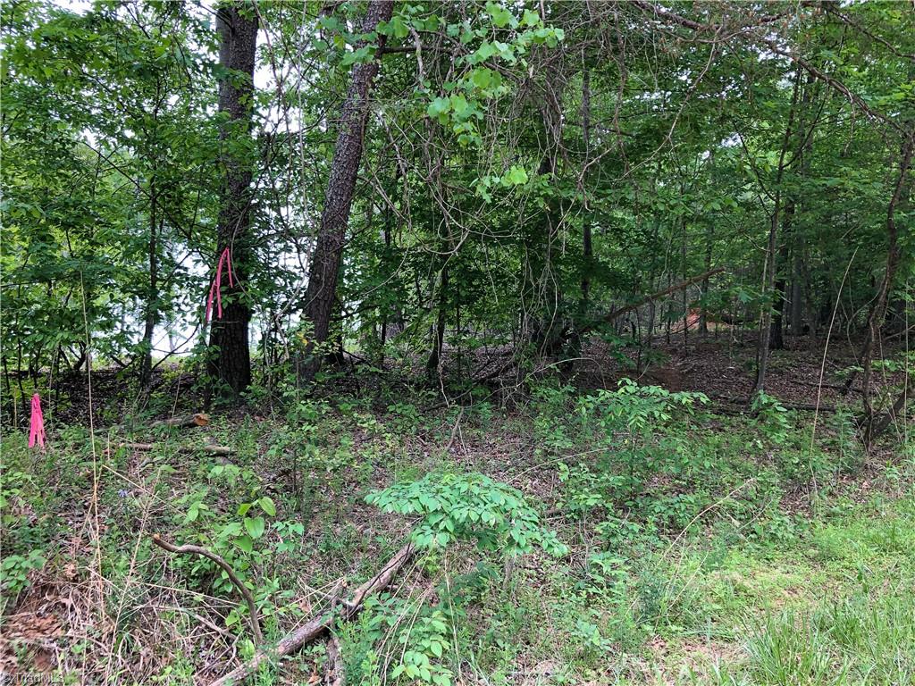 539 Jarvis Plantation Road Dobson, NC 27017 - Photo 35 of 36 Gallery Image 35