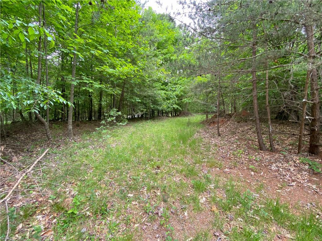 539 Jarvis Plantation Road Dobson, NC 27017 - Photo 5 of 36 Gallery Image 5