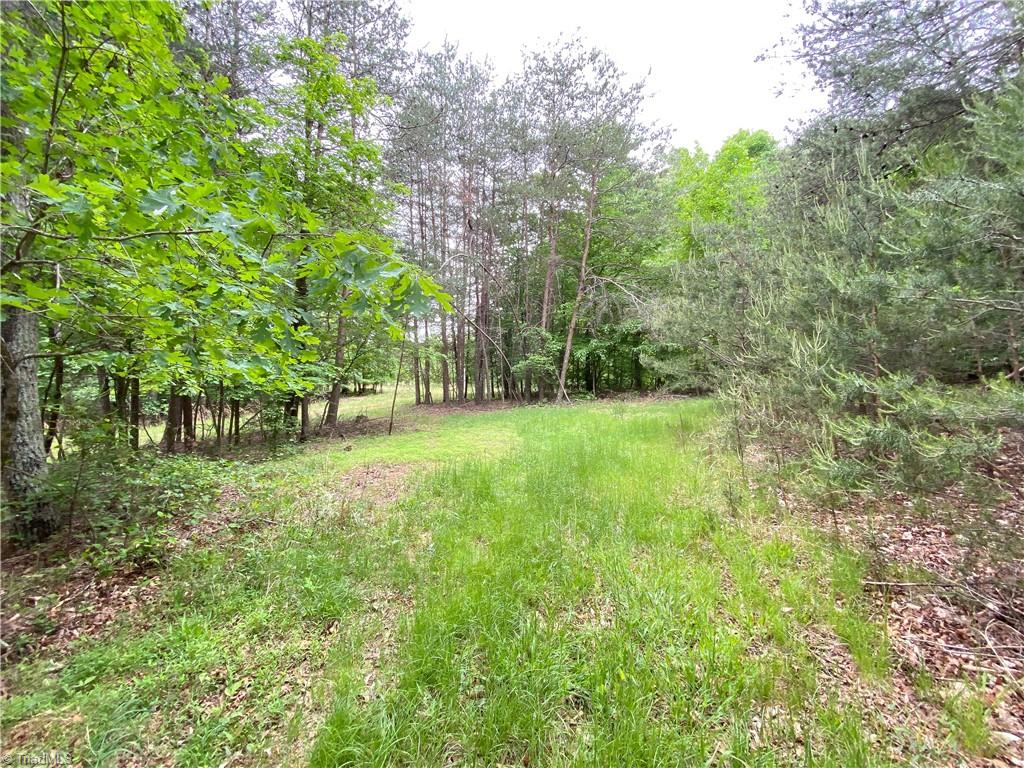 539 Jarvis Plantation Road Dobson, NC 27017 - Photo 6 of 36 Gallery Image 6