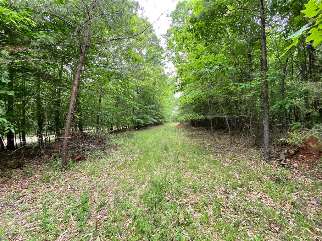 539 Jarvis Plantation Road Dobson, NC 27017 - Photo 9 of 36 Gallery Image 9